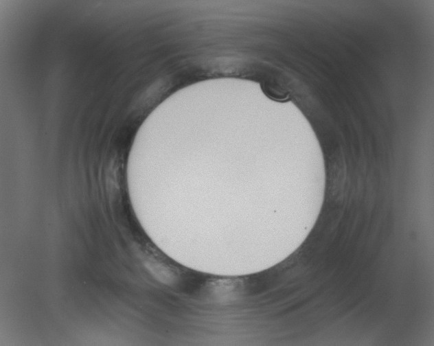 X0000080750126200701122013