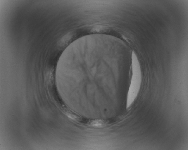 X0000080750127200701122013