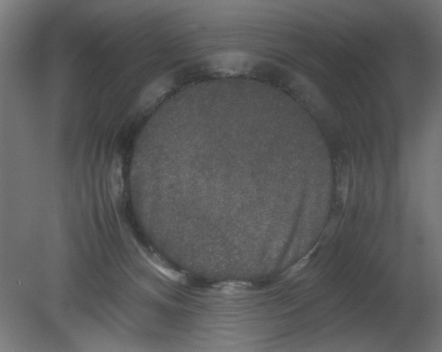 X0000080750128200701122013