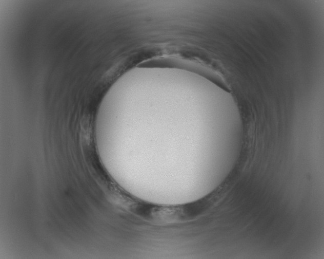 X0000080750129200701122013