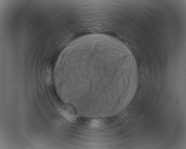 X0000080750130200701122013