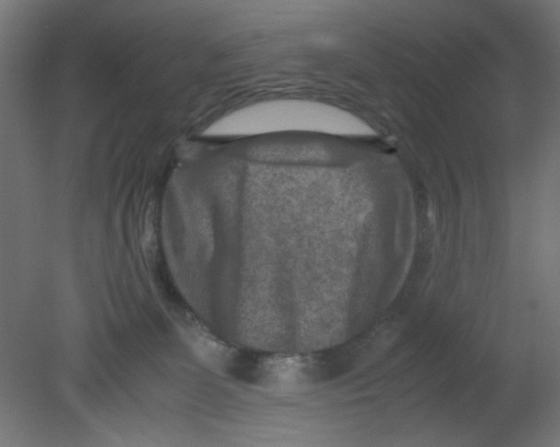 X0000080750131200701122013