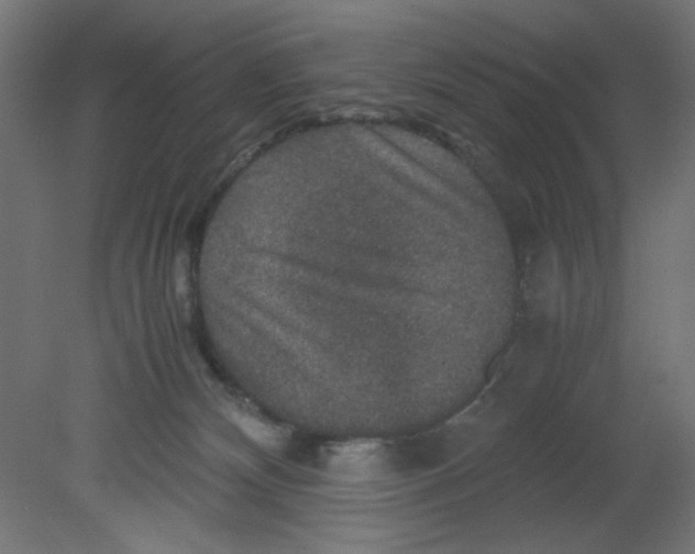 X0000080750132200701122013