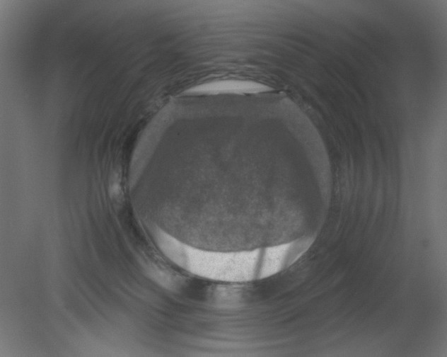 X0000080750134200701122013