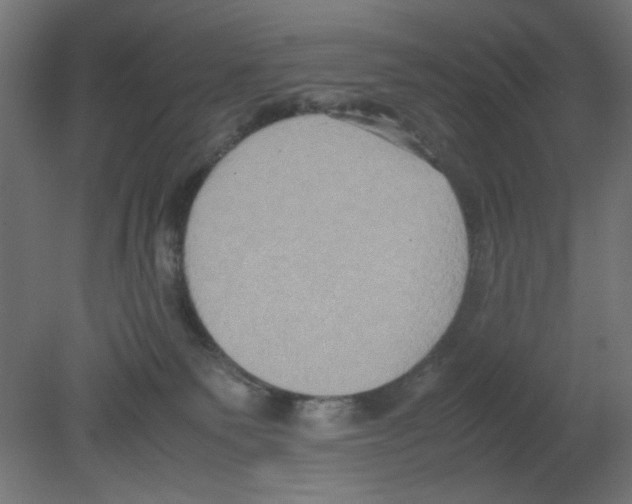 X0000080750135200701122013