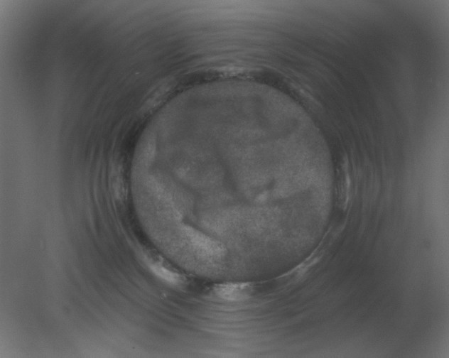 X0000080750136200701122013