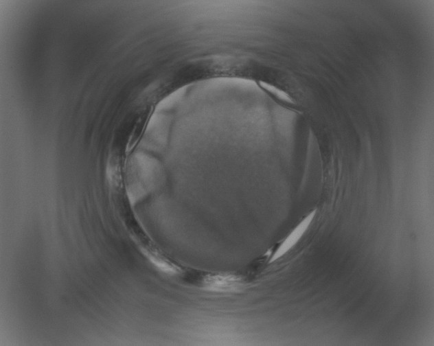 X0000080750137200701122013