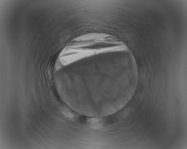 X0000080750139200701122013