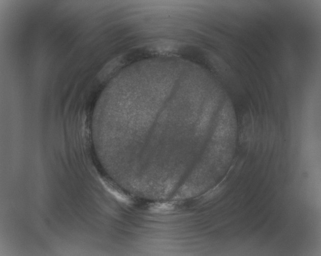 X0000080750140200701122013