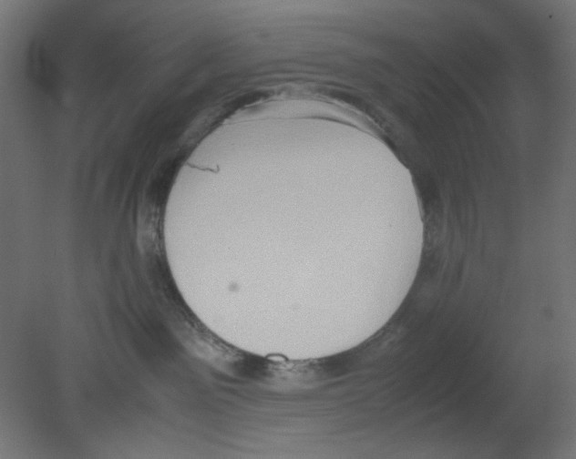 X0000080750141200701122013