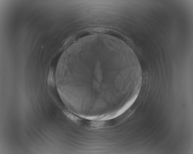 X0000080750143200701122013