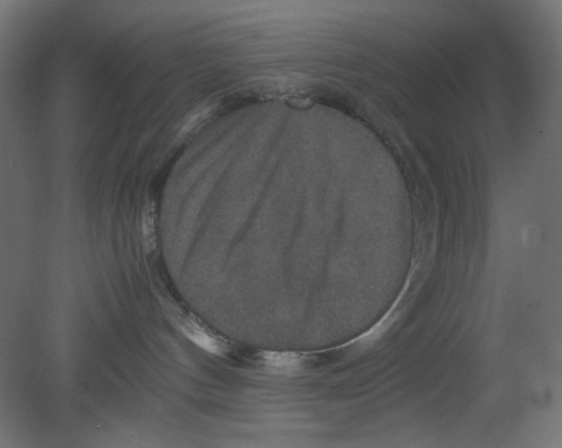 X0000080750144200701122013