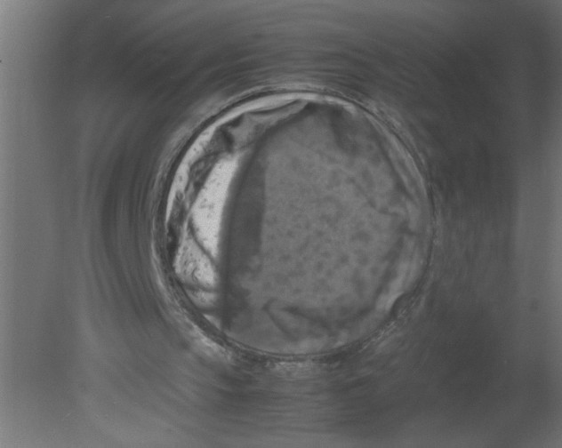 X0000080750145200701122012