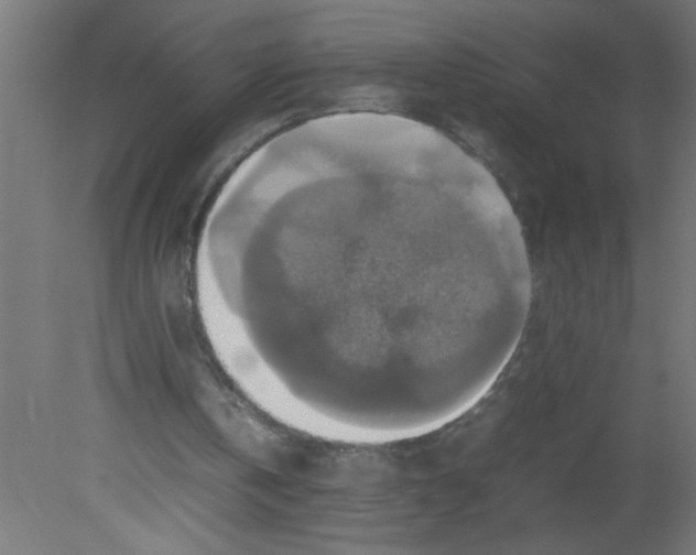 X0000080750146200701122012