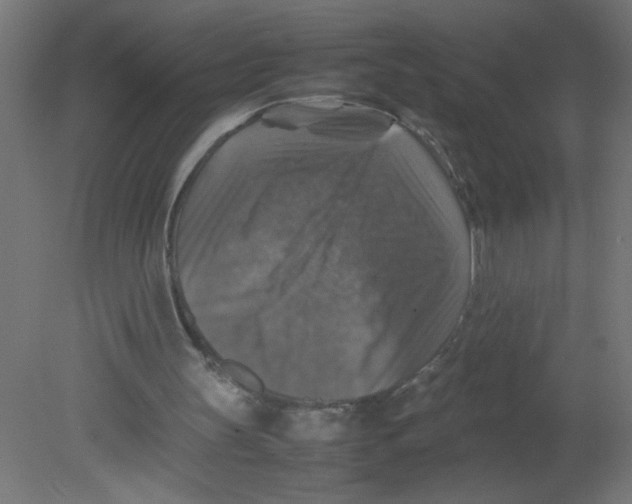 X0000080750147200701122012