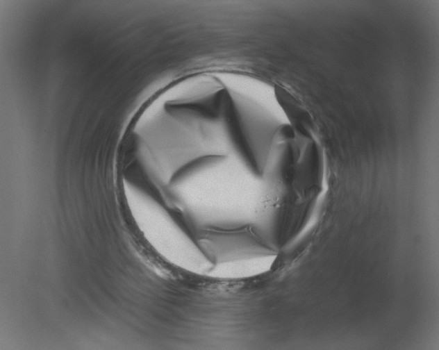 X0000080750148200701122012