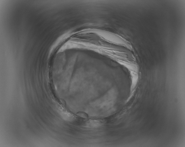 X0000080750149200701122012