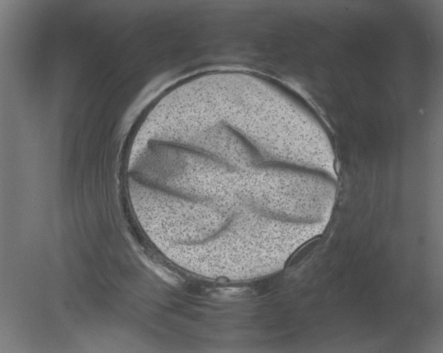 X0000080750151200701122012