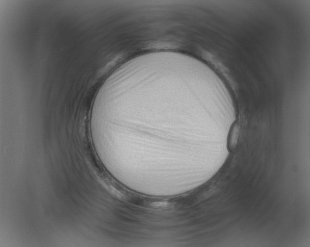 X0000080750153200701122012