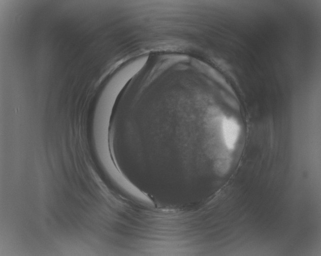 X0000080750154200701122012