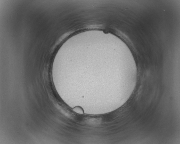 X0000080750155200701122012