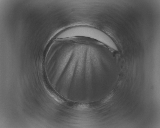 X0000080750156200701122012