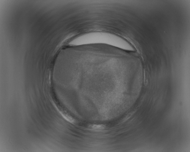 X0000080750157200701122012