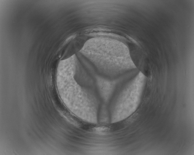 X0000080750158200701122012