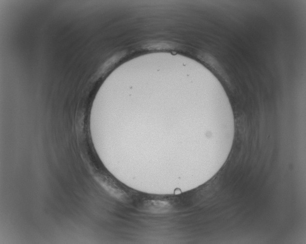 X0000080750159200701122012