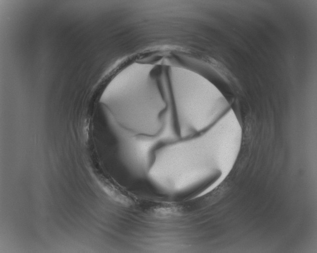 X0000080750160200701122012