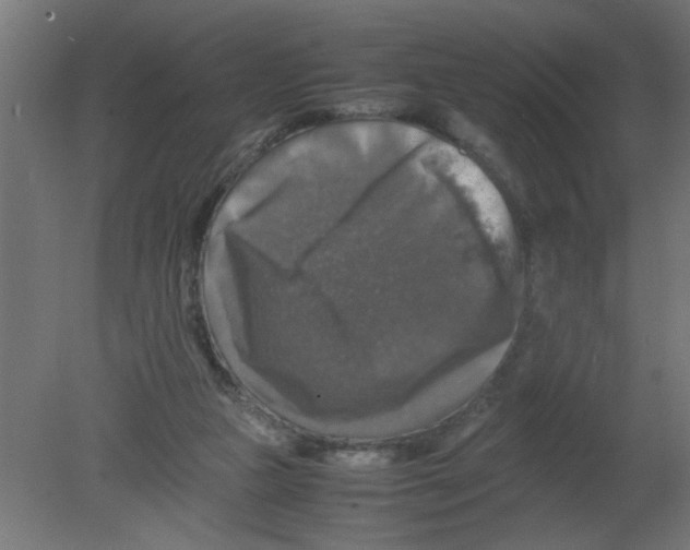 X0000080750161200701122012