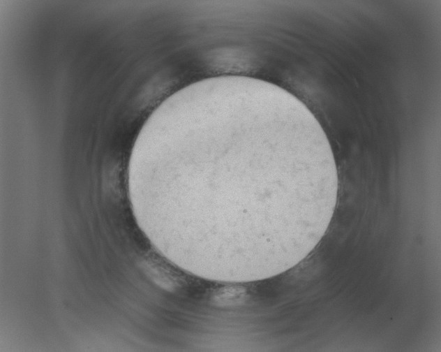 X0000080750162200701122012