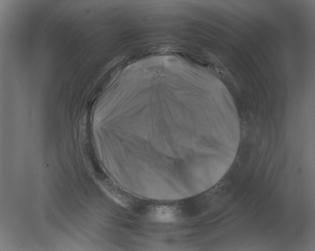 X0000080750163200701122012