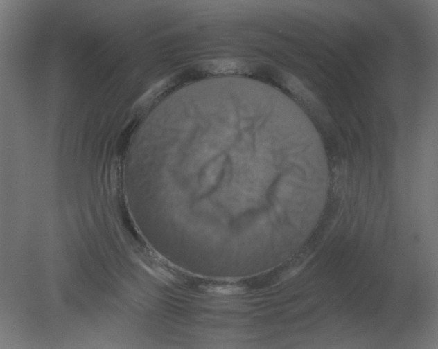 X0000080750165200701122012