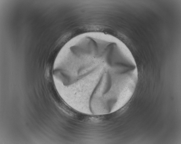 X0000080750166200701122012