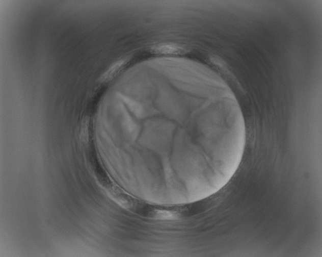 X0000080750167200701122012