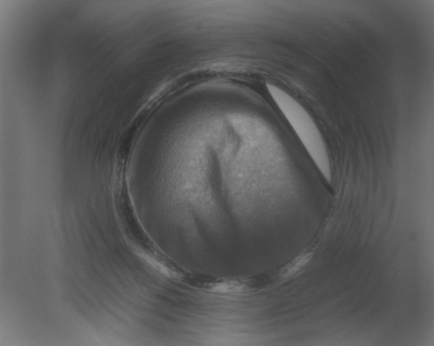 X0000080750168200701122012