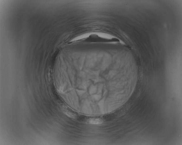 X0000080750169200701122012