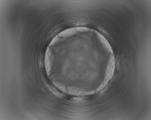 X0000080750170200701122012