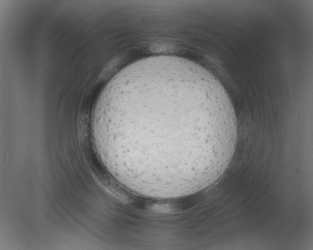 X0000080750171200701122012