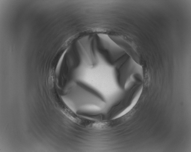 X0000080750172200701122012