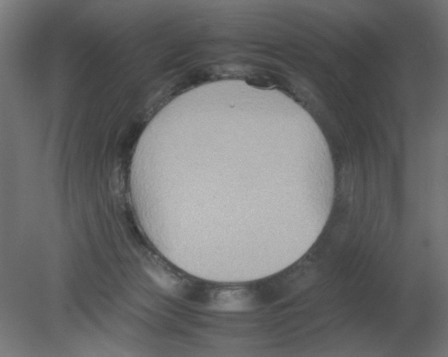 X0000080750173200701122012