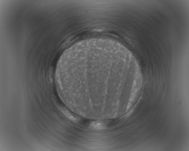 X0000080750174200701122012