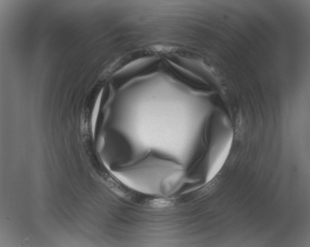 X0000080750176200701122012