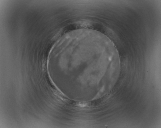 X0000080750177200701122012