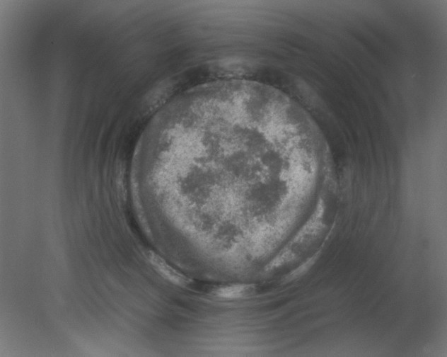 X0000080750178200701122012