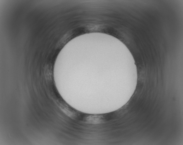 X0000080750179200701122012