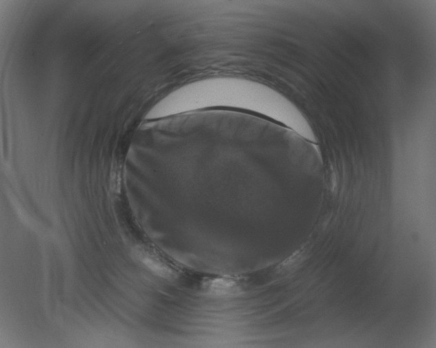 X0000080750180200701122012