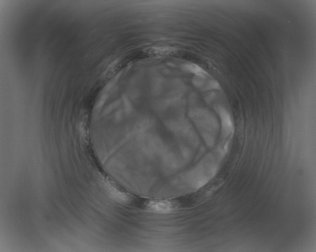 X0000080750181200701122012