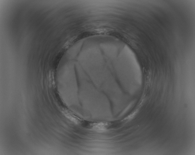 X0000080750182200701122012